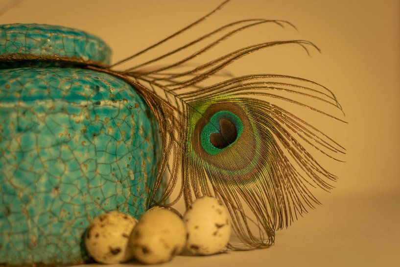 aqua blauwe vaas met pauwenveer warme achtergrond van Aan Kant