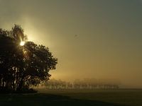 Dawn and fog in Groningen