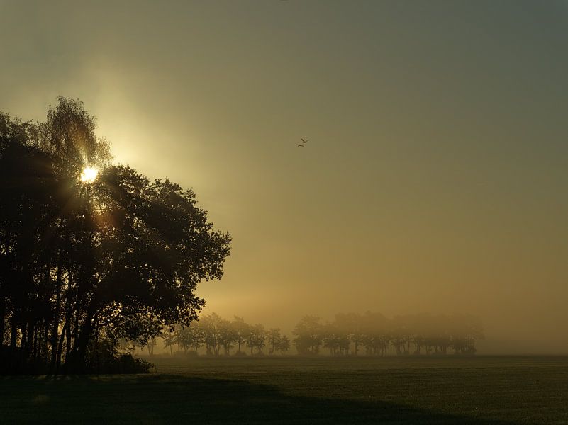 Dämmerung und Nebel in Groningen von Willie Jan Bons