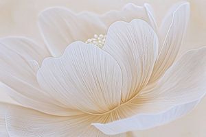 Weiße Blume