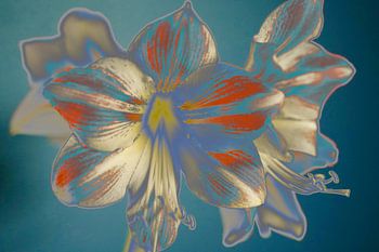 Flower Power II