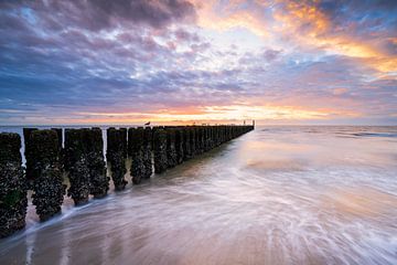 De Zeeuwse kust van Max ter Burg Fotografie