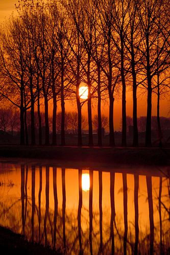 De opkomende zon langs  de Linge.
