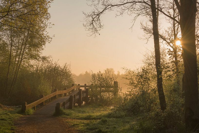 Golden hour at sunrise by Ans Bastiaanssen