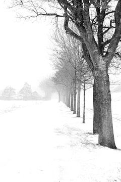 Sneeuw in zwart wit van Ilona Lagerweij