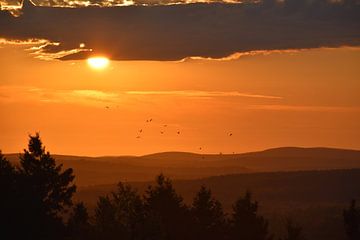 Un lever de soleil un matin d'automne sur Claude Laprise