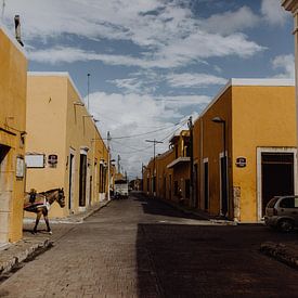 Scène de rue Izamal, Mexique sur Britt Laske