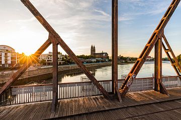 Magdeburg mit dem Magdeburger Dom bei Sonnenuntergang