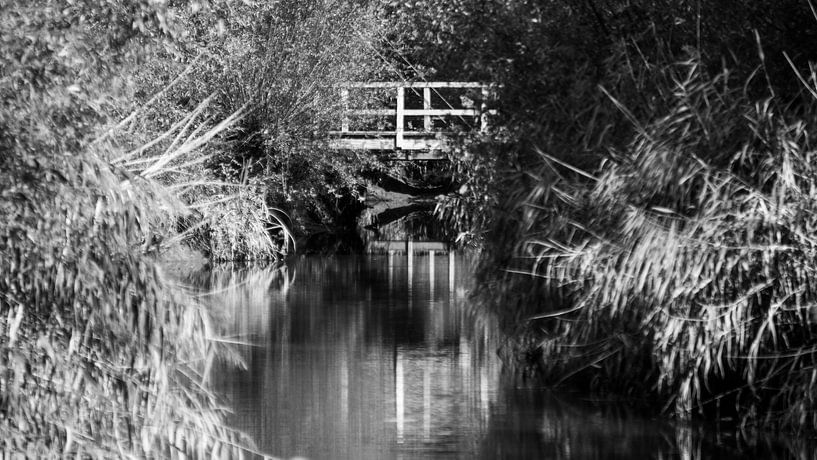 Wasserverbindung Rhoonse Grienden. von Onno Alblas
