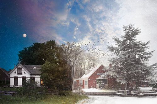 Manipulation de l'image de Groningen by the Seasons : Le jour et la nuit dans des paysages magnifiques