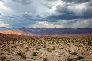 Dunkle Wolken über dem Colorado River - Willow Beach