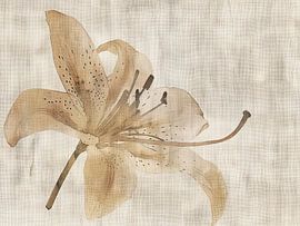 Blumenbild Lilie von Moderne Kollektion