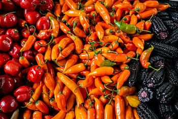 Peppers and blue corn