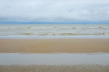 Wellen am Strand von Johan Vanbockryck