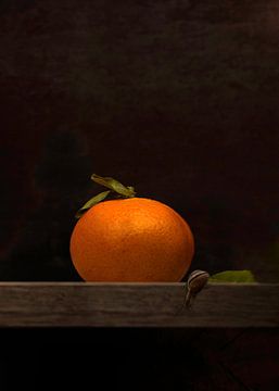 Tangerine 1 by Christiane Calmbacher
