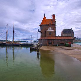 Rügen en de zwanen van Roelof van der Schaaf