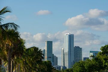 USA, Florida, Skyline of Miami city between palm trees by adventure-photos