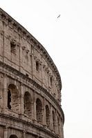 Colosseum in Rome