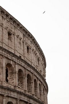 Colosseum in Rome by David van der Kloos