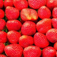 aardbeien, rood, fruit