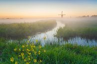 Nederlands polderlandschap met molens van Original Mostert Photography thumbnail