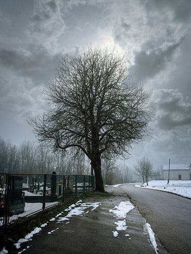 The old pear tree