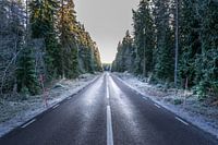 The road