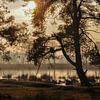 Schemering bij de heide van Bakkeveen van A.C. van Zwol