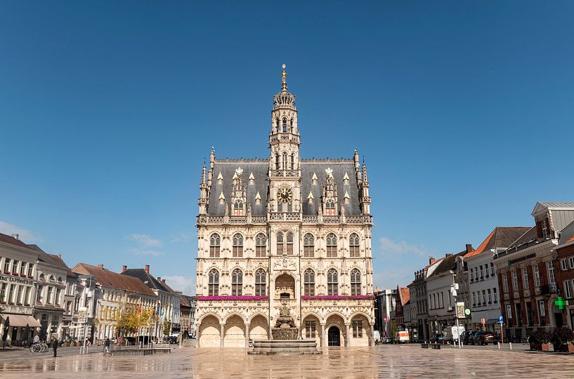 Oudenaarde Stadhuis van Richard Wareham
