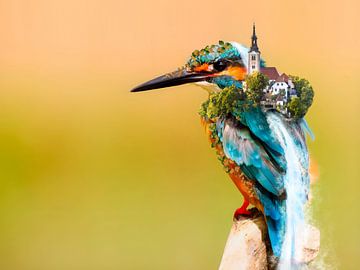 Eisvogel mit einem Dorf auf dem Rücken