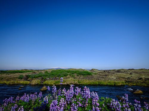 Langs de Þjóðvegur 1, IJsland