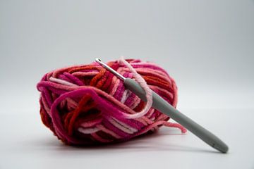 Kleurrijke bol wol met een haaknaald van David Esser