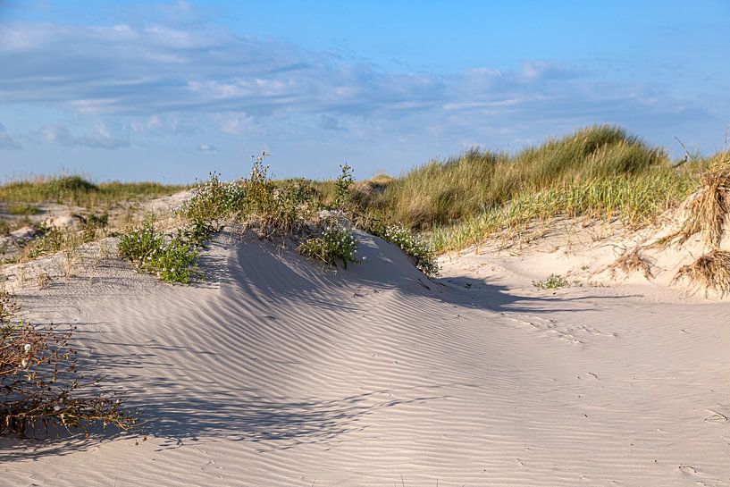 Dunes on Amrum by Thomas Heitz
