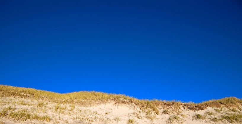 Dunes by Bo Valentino