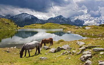 Het Krummschnabel meer in Obertauern van Christa Kramer