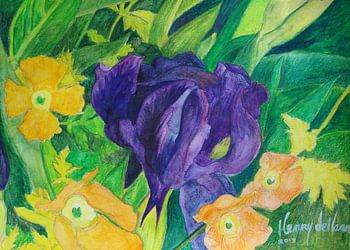 iris met oranje klaprozen