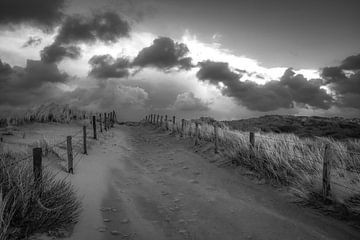 Strand Eingang in schwarz und weiß von Dirk van Egmond