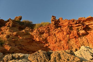 Coast of Playa de la Barrosa by Silva Wischeropp