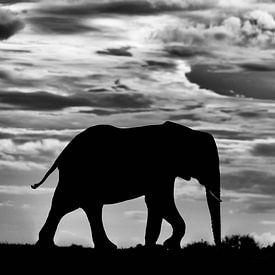 Silhouette d'éléphant contre la couverture nuageuse sur Jos van Bommel