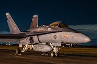 De Boeing F/A-18C Hornet van VFA-204 River Rattlers uit Louisiana die een nachtje bleef "slapen van Jaap van den Berg thumbnail
