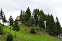 House on the hill