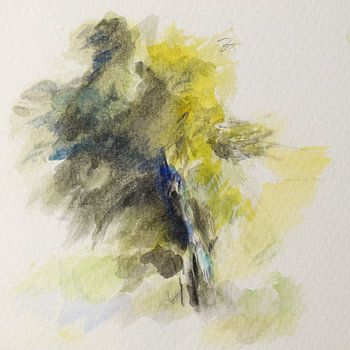 Finnland: ein Baum zwischen Sommer und Winter