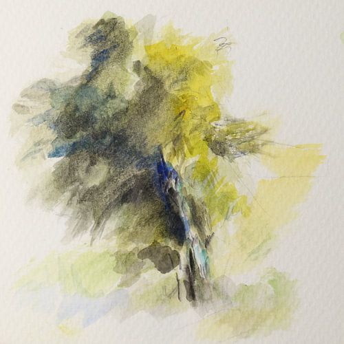 Finnland: ein Baum zwischen Sommer und Winter von JohannPeterWeiss