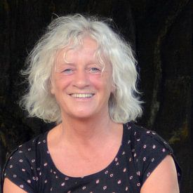 Flora de Vries Profile picture