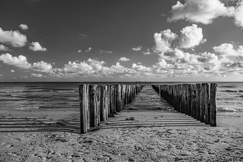 paalhoofden bij domburg in zwart en wit van anne droogsma