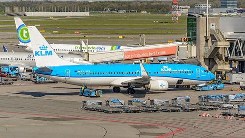 KLM Boeing 737-800 Passagierflugzeug.