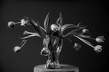 Black and White tulp van Urspictures