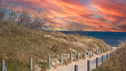 Dune landscape on the Baltic Sea near Ahlbeck on Usedom by Animaflora PicsStock