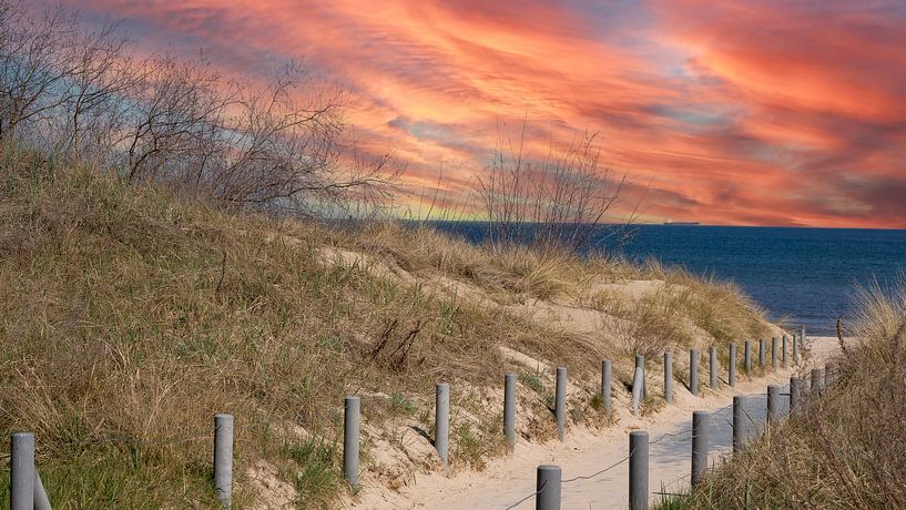 Dune landscape on the Baltic Sea near Ahlbeck on Usedom by Animaflora PicsStock