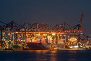 Großes Containerschiff Cosco Shipping Azalea im Hafen von Rotterdam (Maasvlakte).